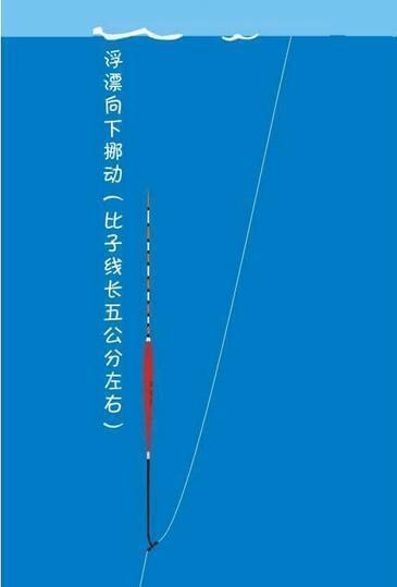 钓鱼技巧黑坑调漂方法是什么？如何快速找到最佳漂相？