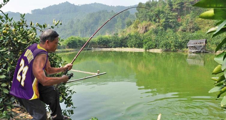 钓鱼技巧黑坑调漂方法是什么？如何快速找到最佳漂相？
