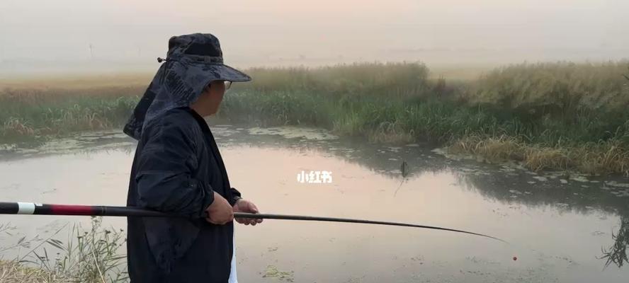 钓鱼技巧基础知识有哪些？如何快速掌握？
