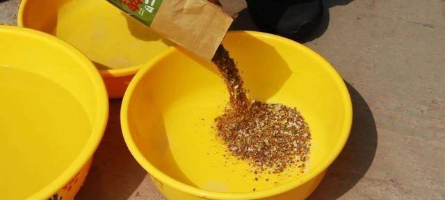 如何选择最佳钓鱼技巧和饵料配料？