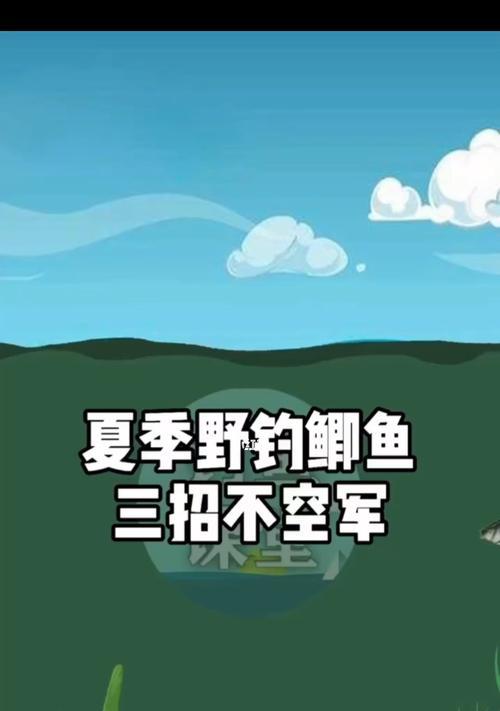 钓鱼技巧及方式有哪些？如何提高钓鱼成功率？