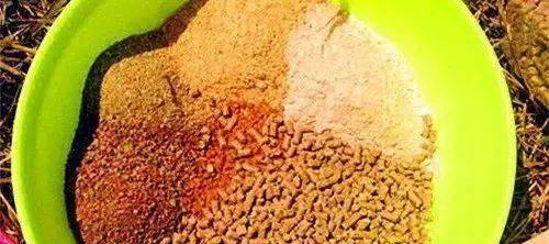 钓鱼技巧有哪些？如何根据鱼饵分析选择最佳鱼饵？