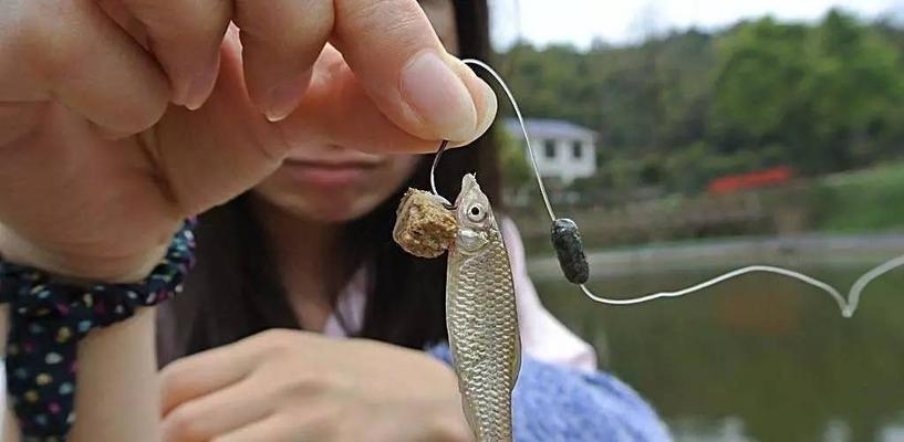 如何有效避免钓鱼时子线缠绕打结？