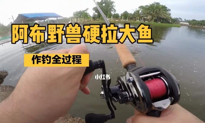 钓鱼技巧讲解上午和下午有什么不同？如何根据时间段选择合适的钓鱼方法？