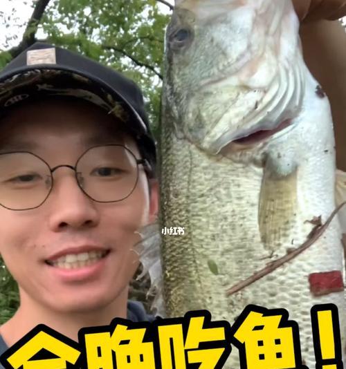 如何提高钓鱼技巧？实用讲解帮你成为钓鱼高手？