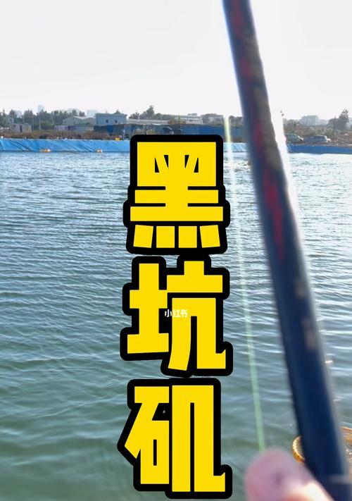 如何提高钓鱼技巧？实用讲解帮你成为钓鱼高手？