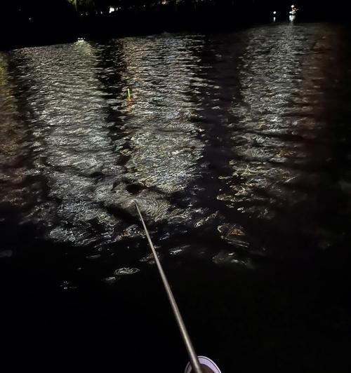 夜钓技巧有哪些？如何提高夜钓成功率？