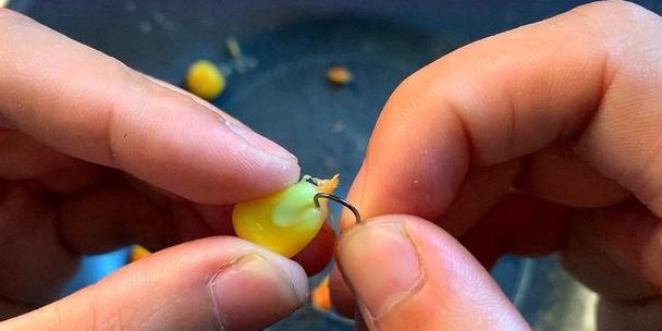 钓鱼技巧教程用饵？如何选择合适的鱼饵提高钓鱼成功率？