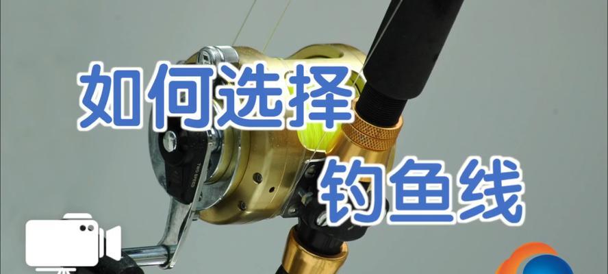 如何快速掌握钓鱼技巧教程中的最简单方法？
