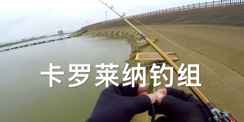 如何组装钓组？钓鱼技巧教学中有哪些要点？
