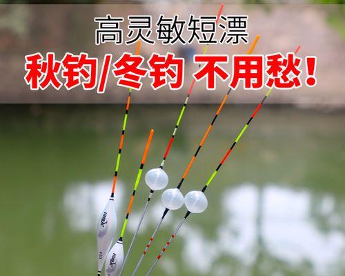 如何选择合适的钓鱼技巧教学鱼漂？选购时应注意哪些问题？