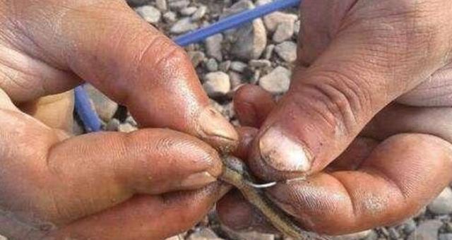 钓鱼技巧经验钓法有哪些？如何提高钓鱼成功率？
