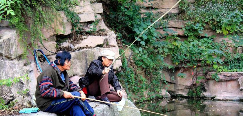 如何提高钓鱼技巧？学习哪些教学方法能成为高手？