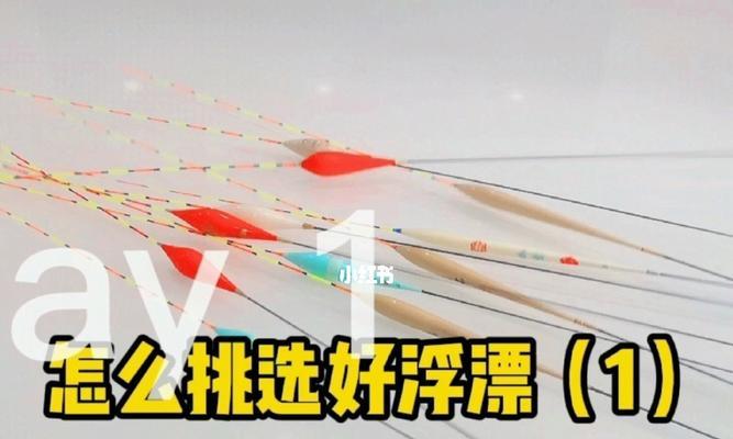 如何快速掌握钓鱼技巧绝招？常见问题有哪些解决方法？