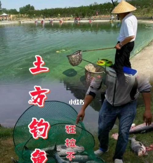 如何制作最佳钓鱼饵料配方？开饵技巧有哪些常见问题？