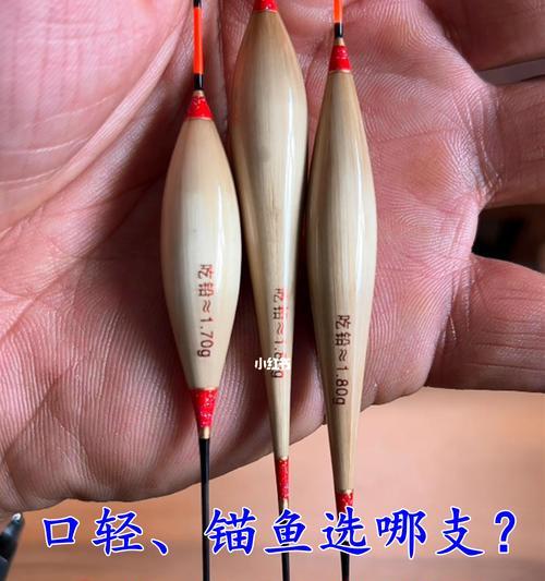 如何通过浮漂动作判断鱼儿咬钩？常见错误有哪些？