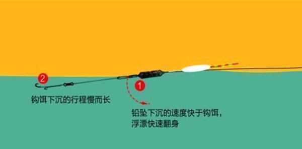 如何通过看漂相提高钓鱼技巧？常见问题有哪些？