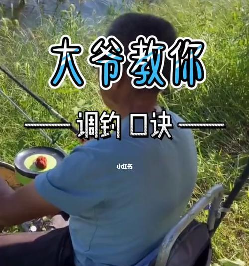 如何快速掌握钓鱼技巧口诀教程？常见问题有哪些？