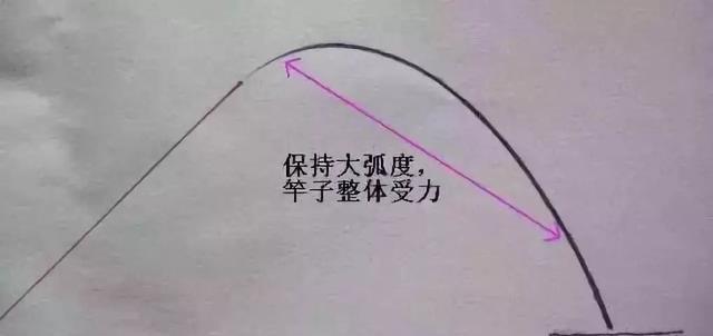 钓鱼技巧口诀谚语有哪些？如何在实战中应用？