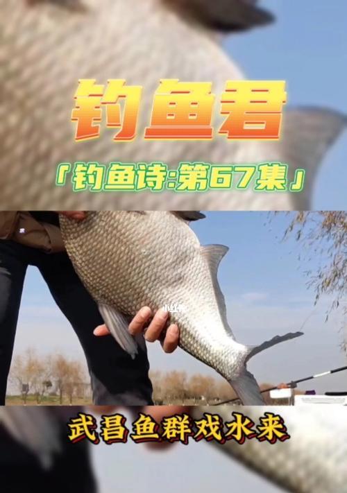 如何利用钓鱼技巧口诀早钓？早钓有哪些常见问题及解决方法？