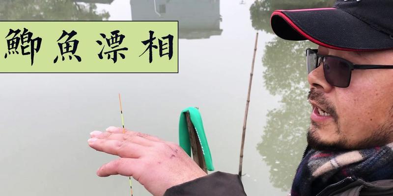 如何识别鲤鱼的漂相？掌握这些钓鱼技巧能提高钓鲤鱼的成功率吗？
