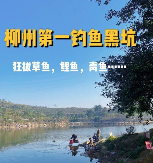 如何在罗非黑坑中运用高级钓鱼技巧？常见问题有哪些？