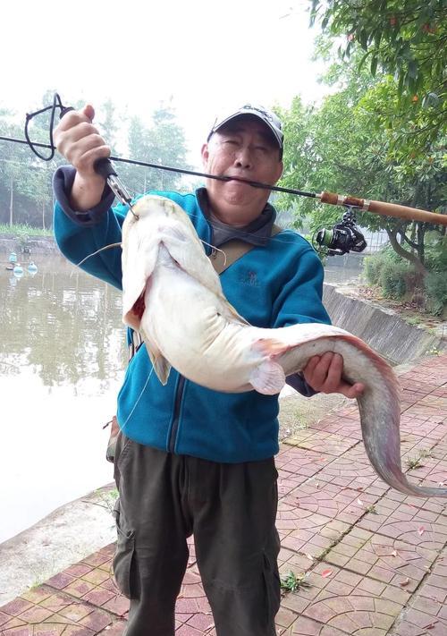 钓鱼技巧鲶鱼怎么钓？掌握这些方法轻松钓到鲶鱼！