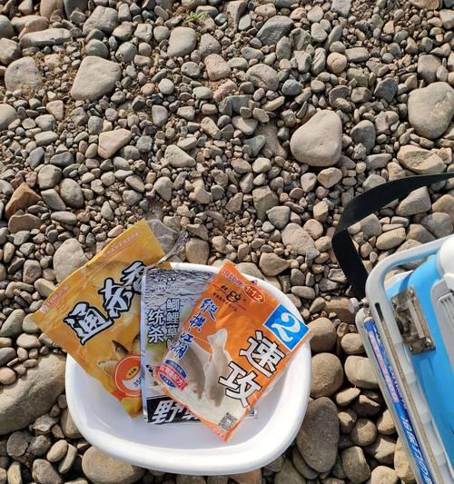 如何选择合适的饵料进行钓鱼？掌握这些技巧能提高钓获率吗？