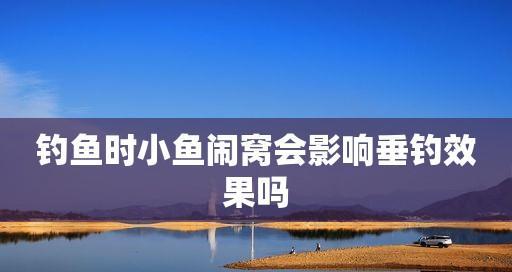 钓鱼技巧碰到小鱼闹窝应该怎么办？如何有效避免小鱼干扰？