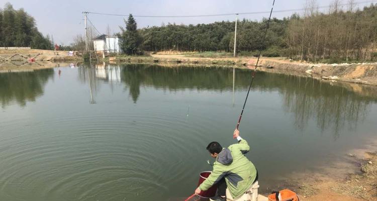 如何选择合适的钓鱼漂？钓鱼漂教程中常见问题解答？