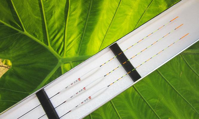 如何在强光下辨别浮漂目数？掌握钓鱼技巧了吗？