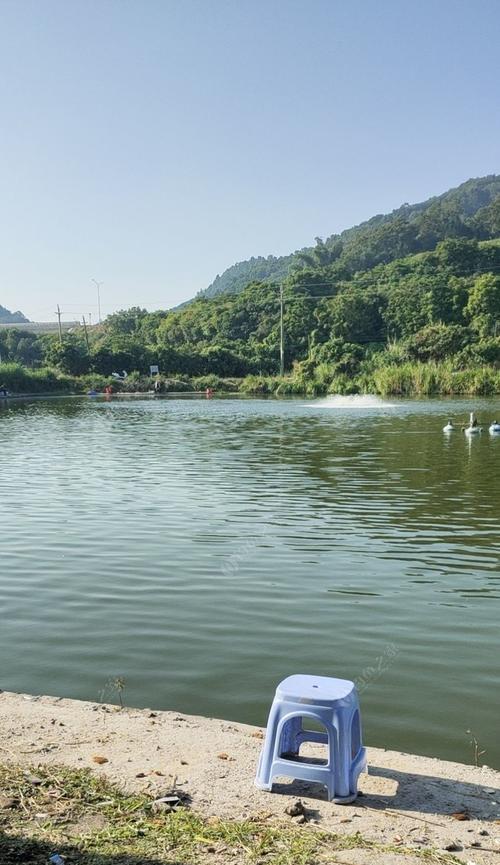 秋季钓鱼不开口怎么办呢？掌握这些钓鱼技巧轻松应对