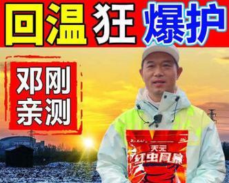 秋天钓鲤鱼用什么打窝料配方？如何提高钓鱼技巧？