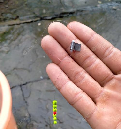 如何使用蚯蚓进行钓鱼调漂？有哪些技巧可以提高成功率？