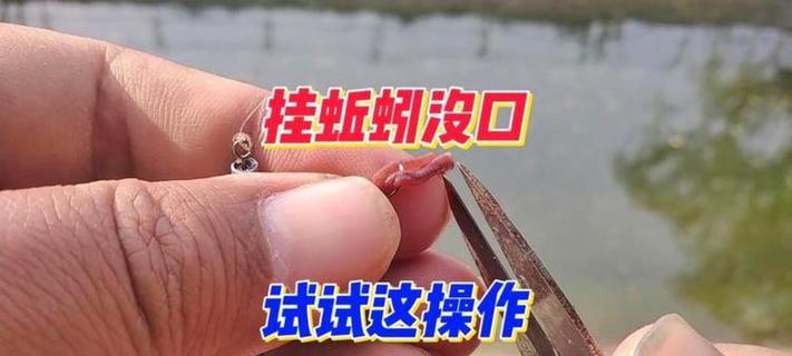 钓鱼技巧蚯蚓怎么挂钩最有效？挂钩方法有哪些？