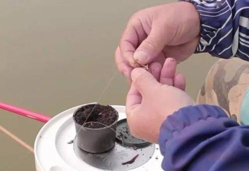 钓鱼技巧蚯蚓怎么挂钩效果最佳？