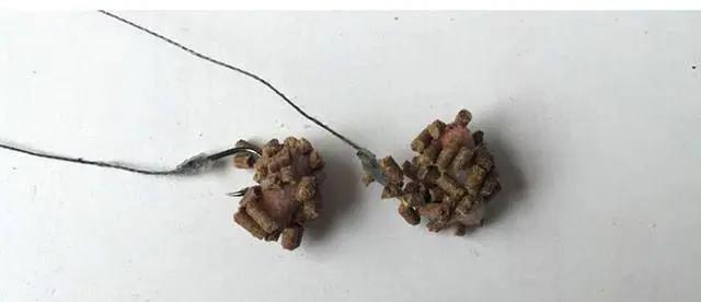 如何正确使用钓鱼技巧取钩器？取钩器使用中常见的问题有哪些？