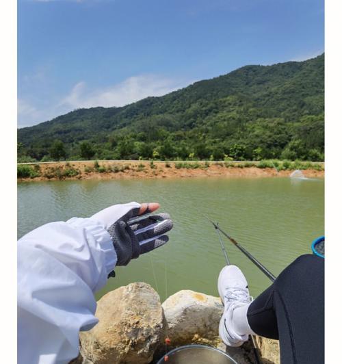 钓鱼技巧全知识？如何快速掌握钓鱼的精髓？