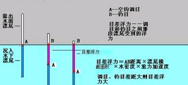 钓鱼技巧如何调漂？调漂的正确步骤和常见问题解答？
