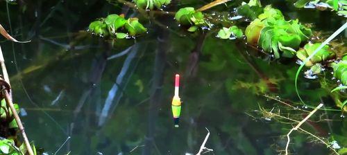 钓鱼技巧如何调漂找底教程？初学者应该注意哪些要点？