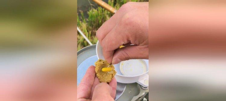 钓鱼时玉米粒怎么挂？有哪些有效的挂法技巧？