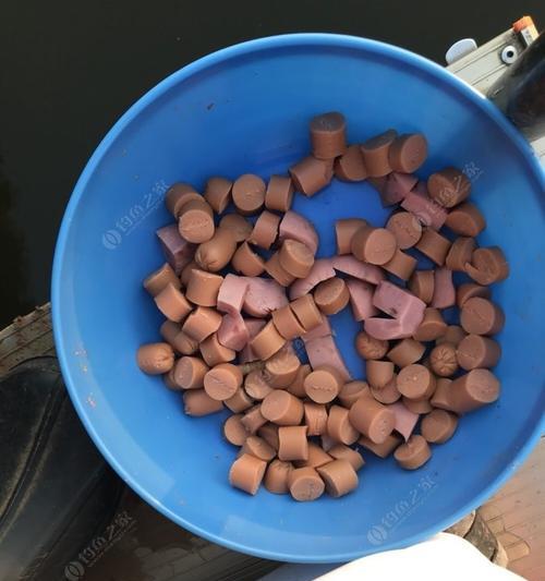 钓鱼技巧如何开饵？开饵的正确方法和常见错误有哪些？