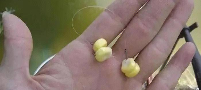 钓鱼技巧如何拉饵料？正确拉饵方法有哪些？