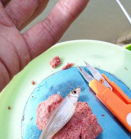 如何正确使用杨杆技巧提高钓鱼效率？杨杆钓鱼常见问题解答？