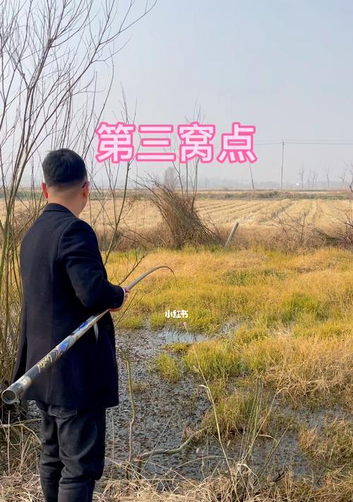 如何正确打窝提高钓鱼技巧？打窝技巧有哪些常见误区？
