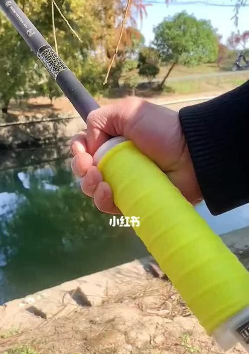 钓鱼技巧入门知识有哪些？如何快速掌握基础钓鱼技巧？