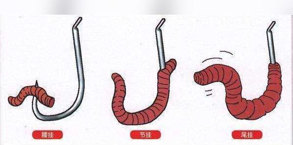 上下钩的距离如何调整？钓鱼技巧中上下钩的最佳距离是多少？