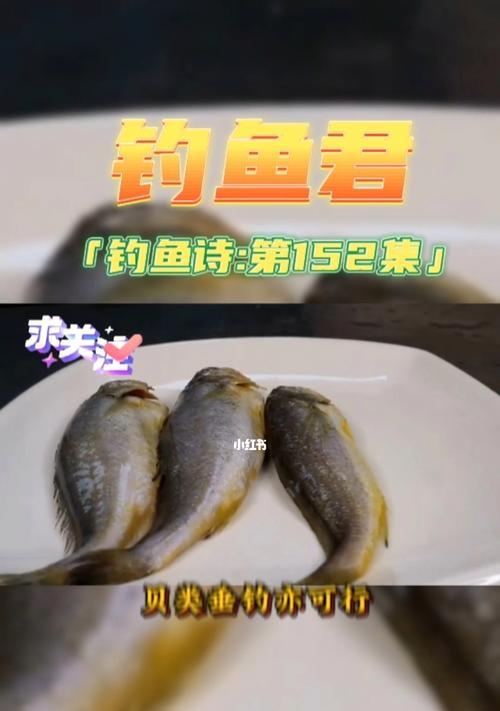 如何掌握钓鱼技巧上鱼口诀？上鱼率低怎么办？