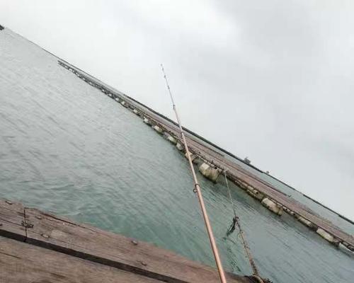 钓鱼技巧：最佳拉钩时机是什么时候？