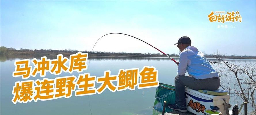 什么是钓鱼中的顿口？如何识别和利用它提高钓鱼技巧？